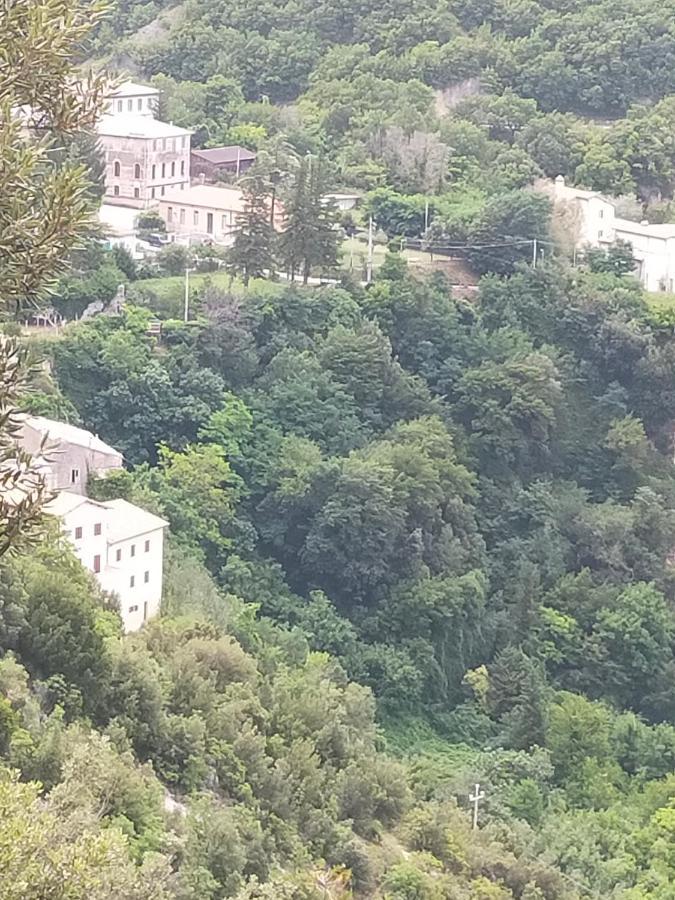 Traivicolidifoligno Hotel Exterior foto